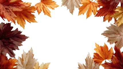 Colorful autumn leaves arranged in a circular pattern on a white isolated background.