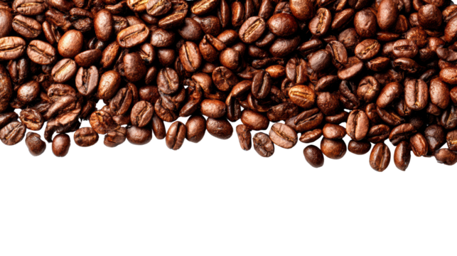 Dark roasted coffee beans arranged in a horizontal line on a white background.