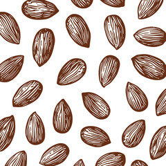 Abstract background with nuts. Almond vector