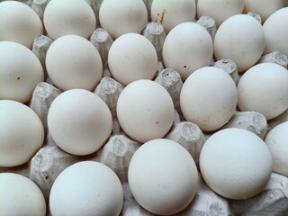 Close up sot of Eggs in a carton.