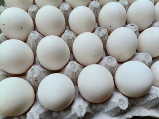 Close up sot of Eggs in a carton.