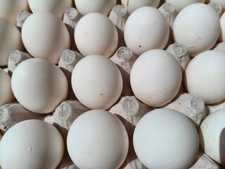 Close up sot of Eggs in a carton.