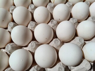 Close up sot of Eggs in a carton.