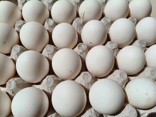 Close up sot of Eggs in a carton.