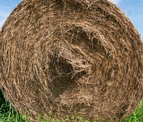 Hay bale
