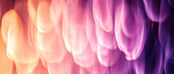 Fototapeta premium Abstract Pink and Purple Tulip Garden: Soft, Blurred Floral Background