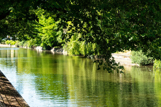 Tranquil Summer Scene on the Landwehr Canal at Maybachufer, Berlin