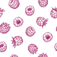 Raspberry, berries realistic, seamless pattern, hand drawn vector illustration, monochrome