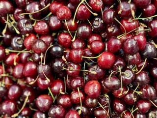 Red ripe cherries, which are used in abundance to make delicious seasonal delicacies and flavors. Bright cherries are beautifully stacked on top of each other, showing off their delicious juiciness