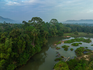 Aerial view morning sunrise with fog tropical rain forest grenn tree