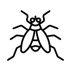Whitefly