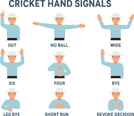 Cricket Umpire Hand Signals Explained Infographic