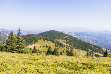 Obraz premium Lush mountain landscape with dense green forest under clear blue summer sky
