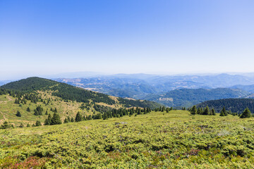 Lush mountain landscape with dense green forest under clear blue summer sky