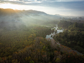 Aerial view morning sunrise with fog tropical rain forest grenn tree