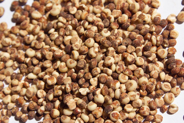 This is a close-up of sorghum.
