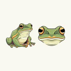 Frog Fullbody and Close-Up Illustration Design
