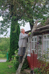 Elderly man climbing ladder near house roof © Natallia