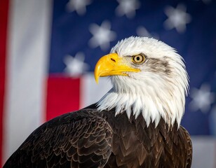 Obraz premium american bald eagle with american flag