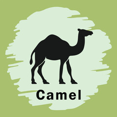 Fototapeta premium Desert camel vector silhouette with color background. Sand animal transport, Arabian Egyptian travel mammal, camel portrait illustration. Element for Eid al-Adha and Eid al-Adha, or for business and c