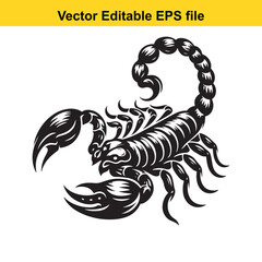 Scorpion illustration isolated on white background