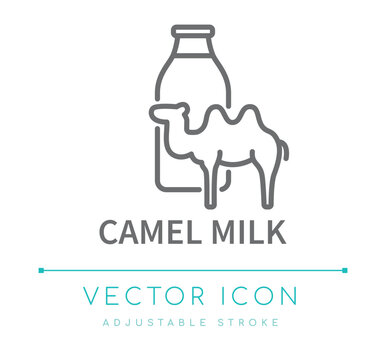 Camel Milk Line Icon
