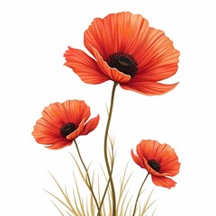 Vibrant Poppy Flower Illustration