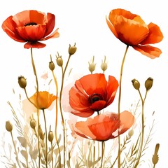 Vibrant Poppy Flower Illustration