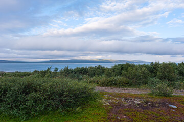 Russia, Murmansk region, Rybachy Peninsula and the Barents Sea. August 2025
