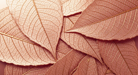 Obraz premium Rose gold leaves texture background, showcasing intricate leaf veins, ideal for elegant design or luxury branding