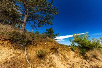 Sand dunes on the island of Rab, shallow water near the shore, shifting dunes, Rab, Lopar,