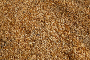 Close-up, textured pile of fresh wood shavings & sawdust. Byproduct of log house construction, used for mulch or animal bedding.