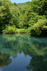 lake in the forest