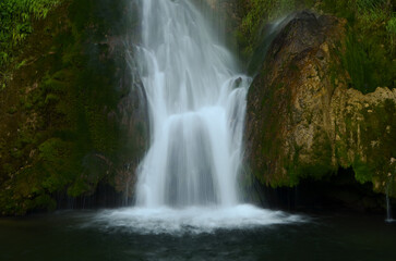 waterfall in the forest