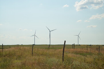 wind turbines in the field