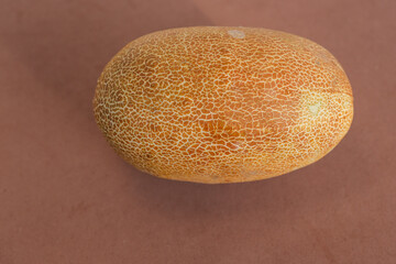 Cucumber for seeds. Saving cucumber seeds for next year. Close-up of an overripe cucumber on a Sienna Color background. Developed seeds inside, suitable for harvesting and planting.