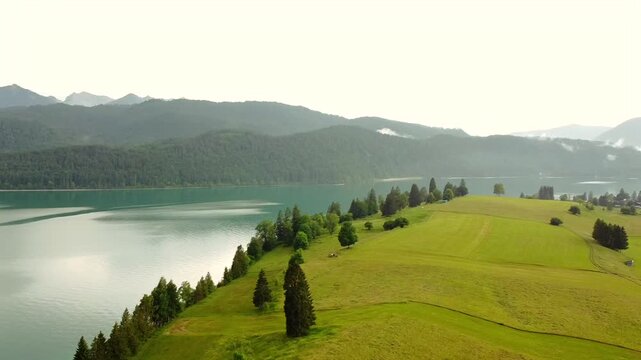 Drone view of hillside with trees alpine lake and mountains