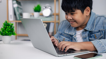 Happy Young Boy Using Laptop for Digital Learning and Modern Education