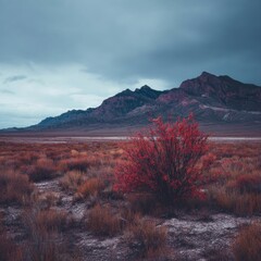 Crimson bush in a vast, arid landscape.  Mountains loom in the distance under a moody sky