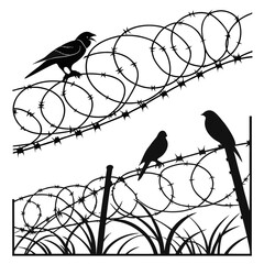 Silhouettes of birds perched on barbed wire fences with grass at the bottom representing freedom and confinement in a stark black and white graphic