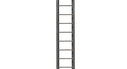 FARMING - Aluminum ladder isolated on black background, vertical straight ladder perfect for climbing and home improvement tasks