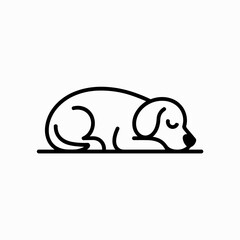 dog and cat