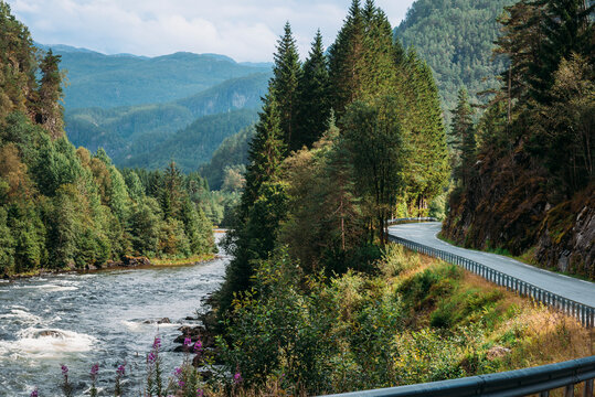 A road runs alongside a river with trees on both sides in Norway