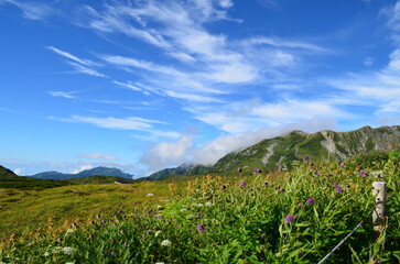 【富山県】立山黒部アルペンルート・立山室堂平