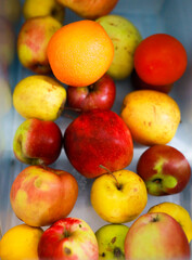 Colorful Assortment of Fresh Fruits in a Blue Container With Sunlight