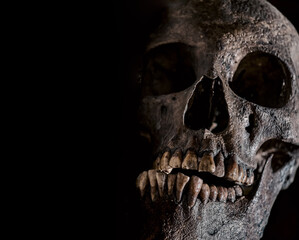 the human skull lies on the sand close up