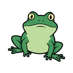 Vector illustration of bullfrog isolated on white background.