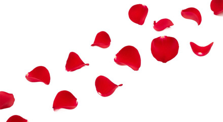 Red rose petals isolated on transparent background, a symbol of love and romance
