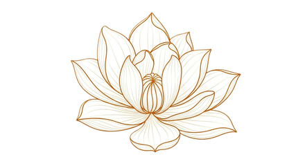 Elegant lotus flower drawing in golden color isolated on transparent background