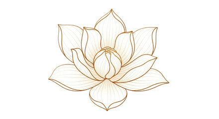Elegant lotus flower drawing in golden color isolated on transparent background